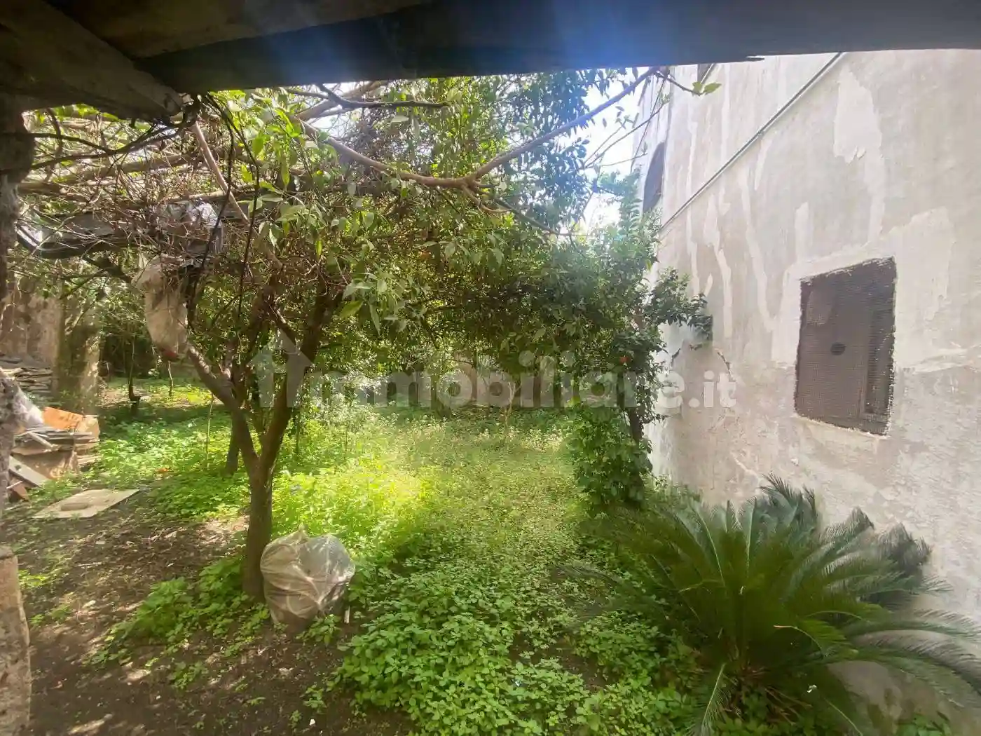 Palazzo - Edificio - foto 2