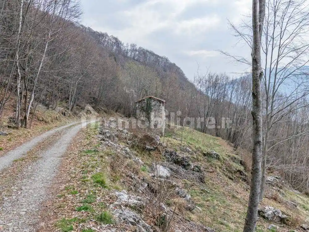 Rustico - Casale in vendita a Vedeseta