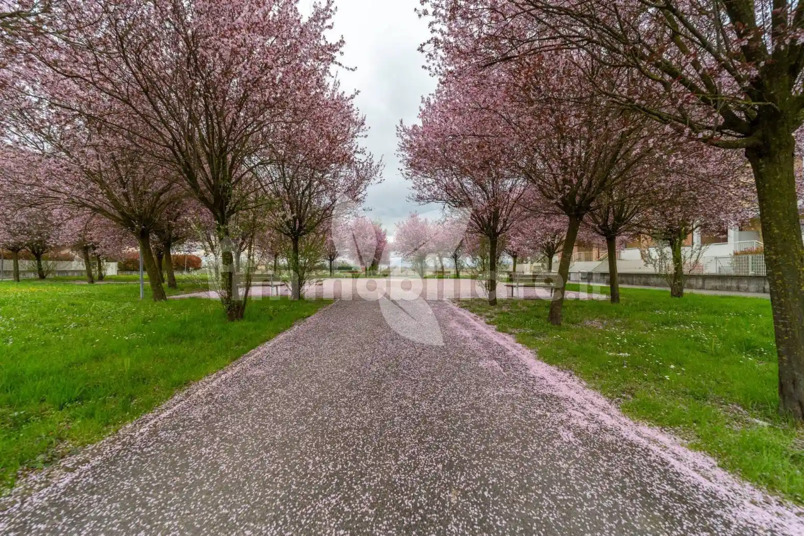 Appartamento in vendita a Parma