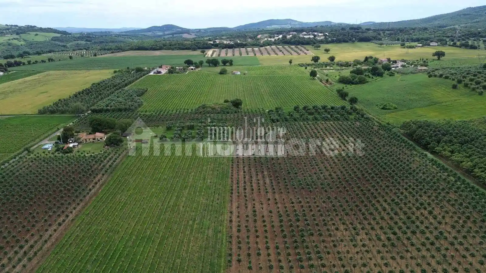 Rustico - Casale in vendita a Manciano