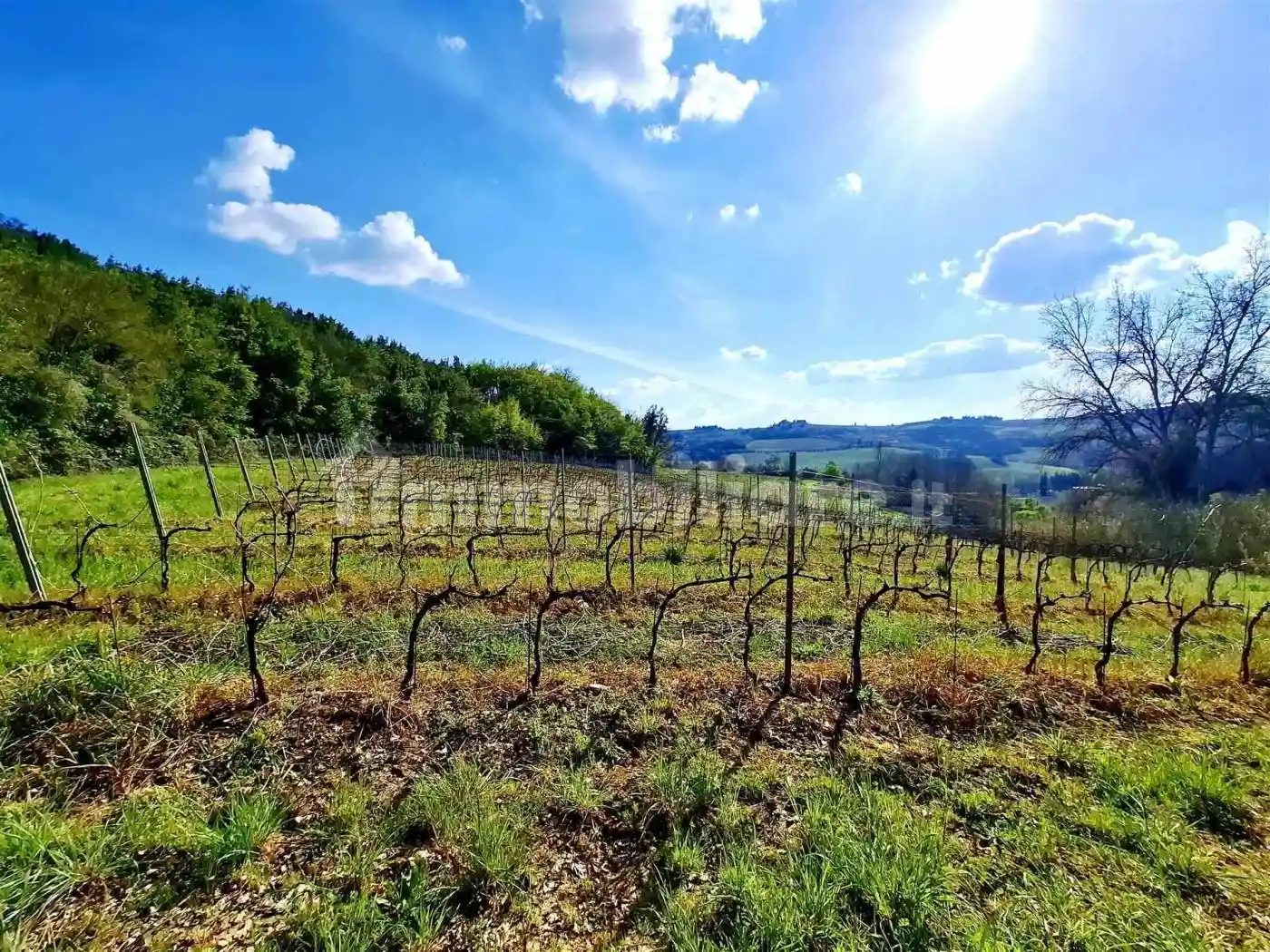 Rustico - Casale in vendita a Montespertoli