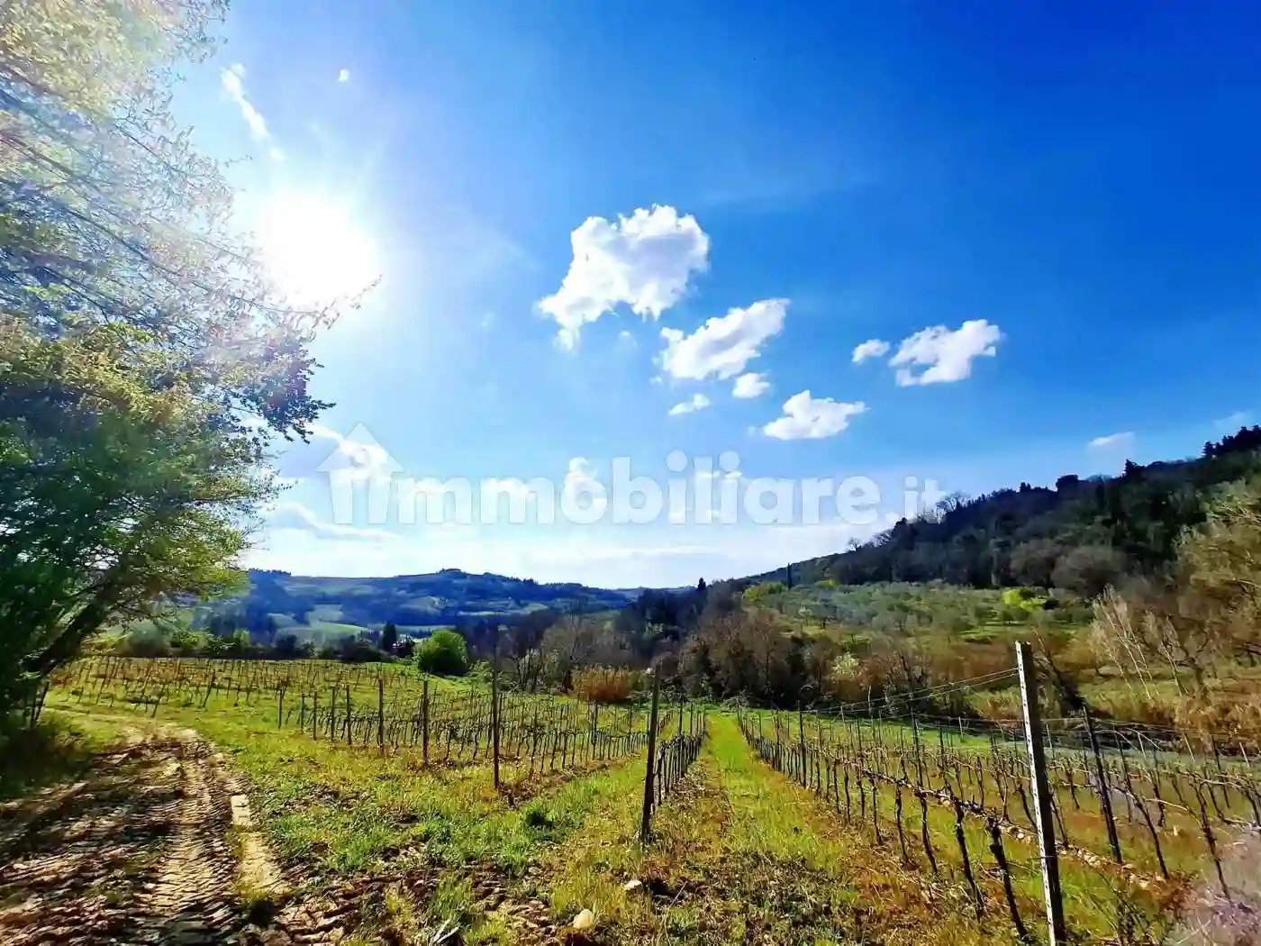 Rustico - Casale - foto 4