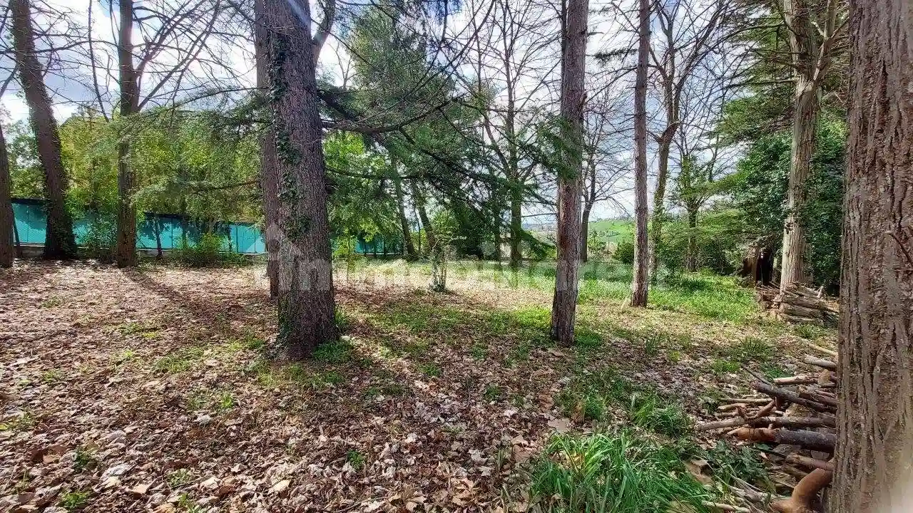 Palazzo - Edificio - foto 5