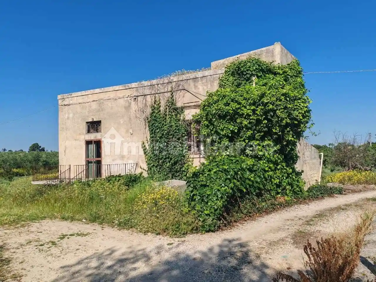 Villa in vendita a Bisceglie