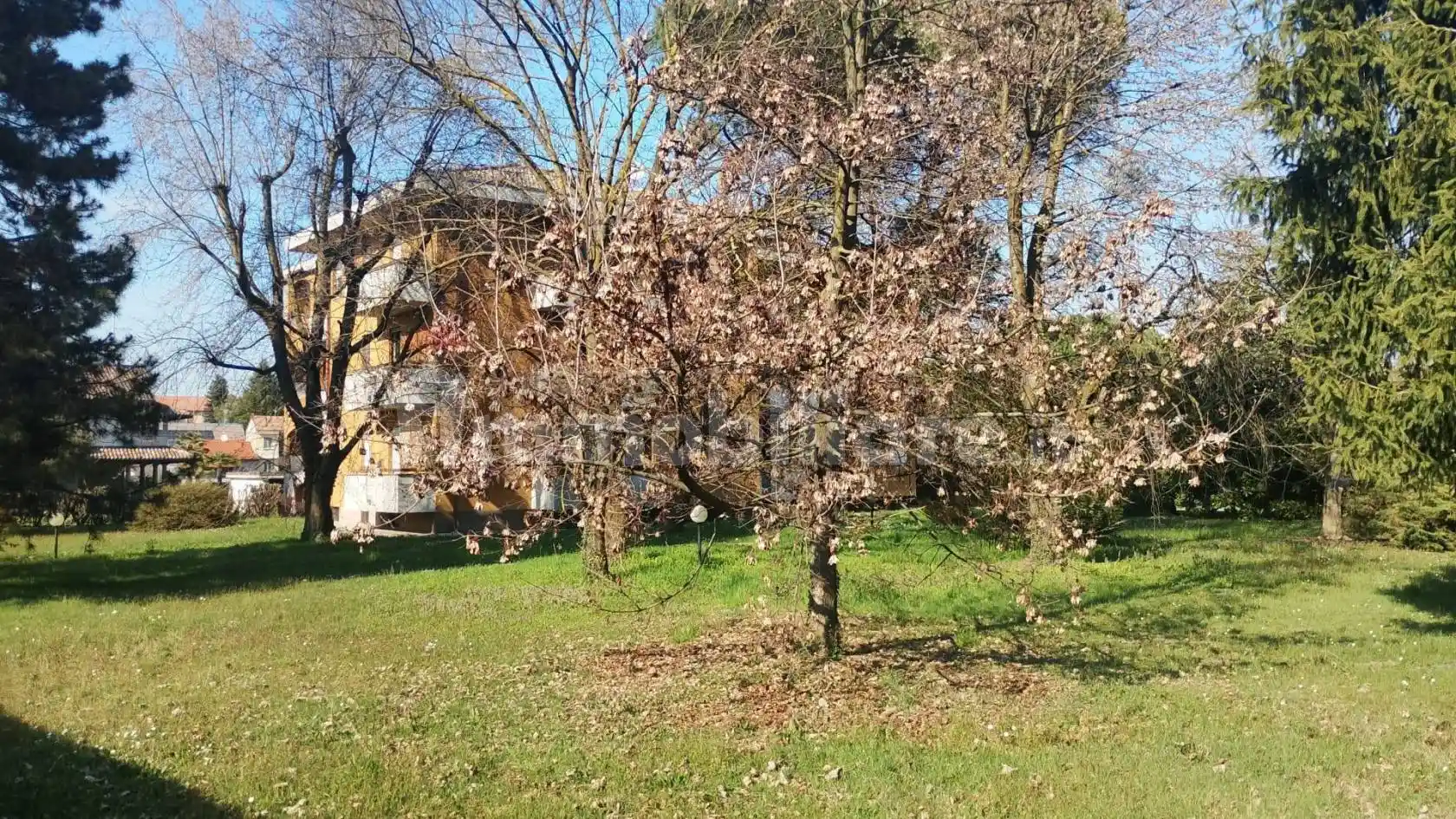 Appartamento in vendita a Casorate Sempione