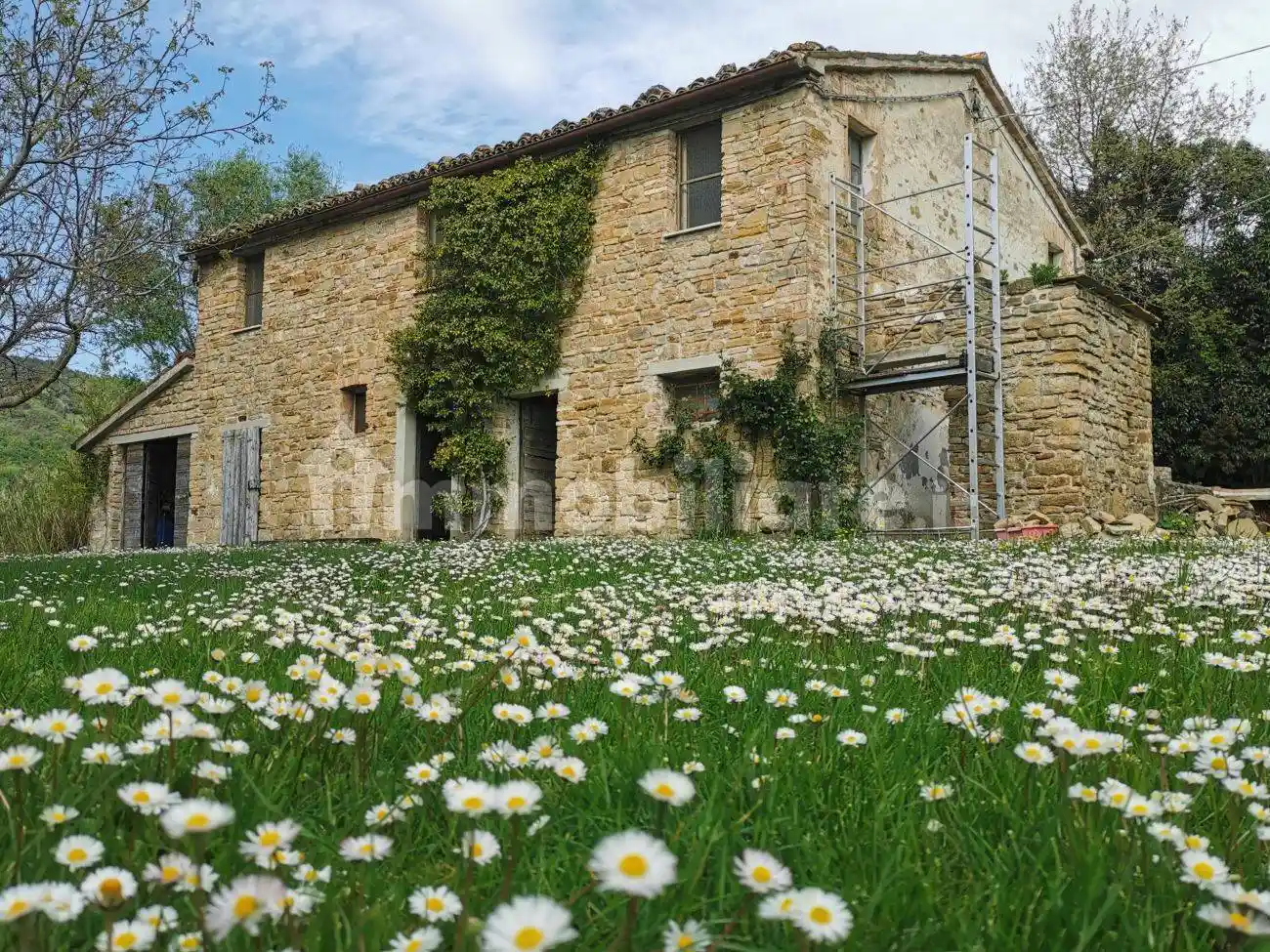Rustico - Casale in vendita a Serra San Quirico