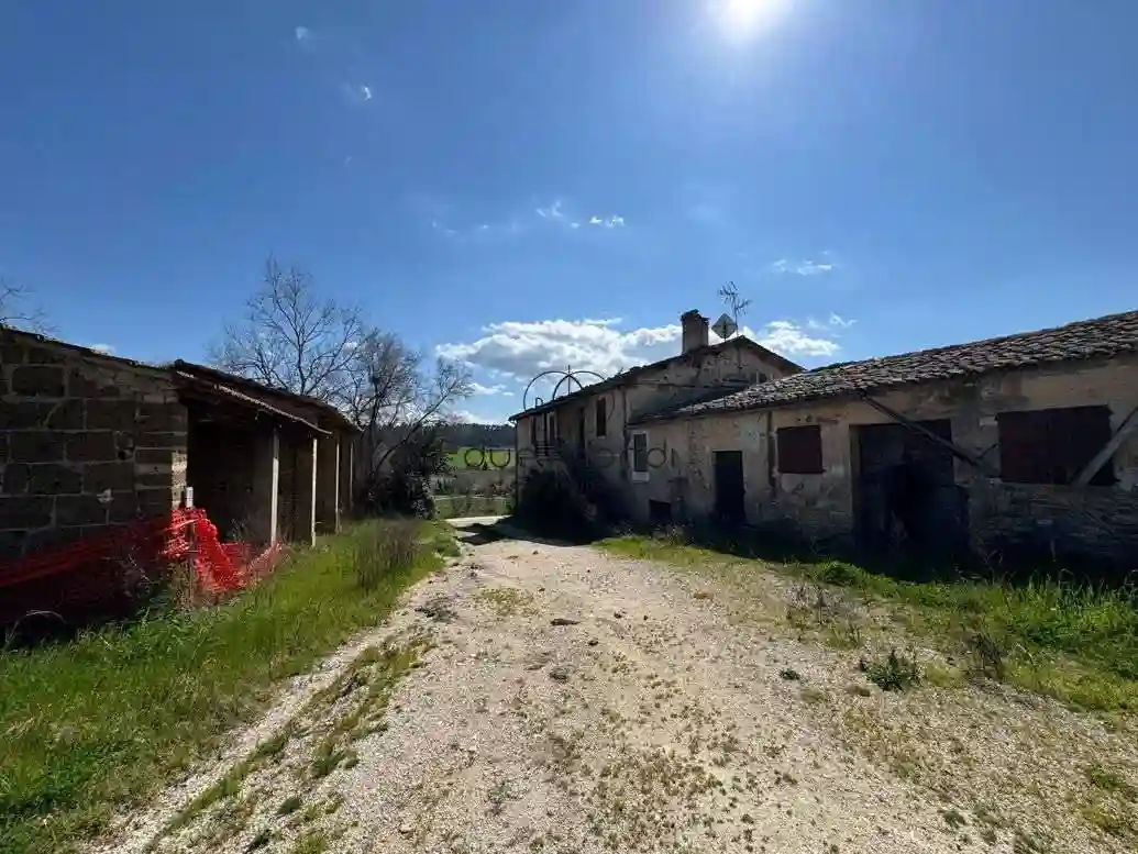 Rustico - Casale - foto 5