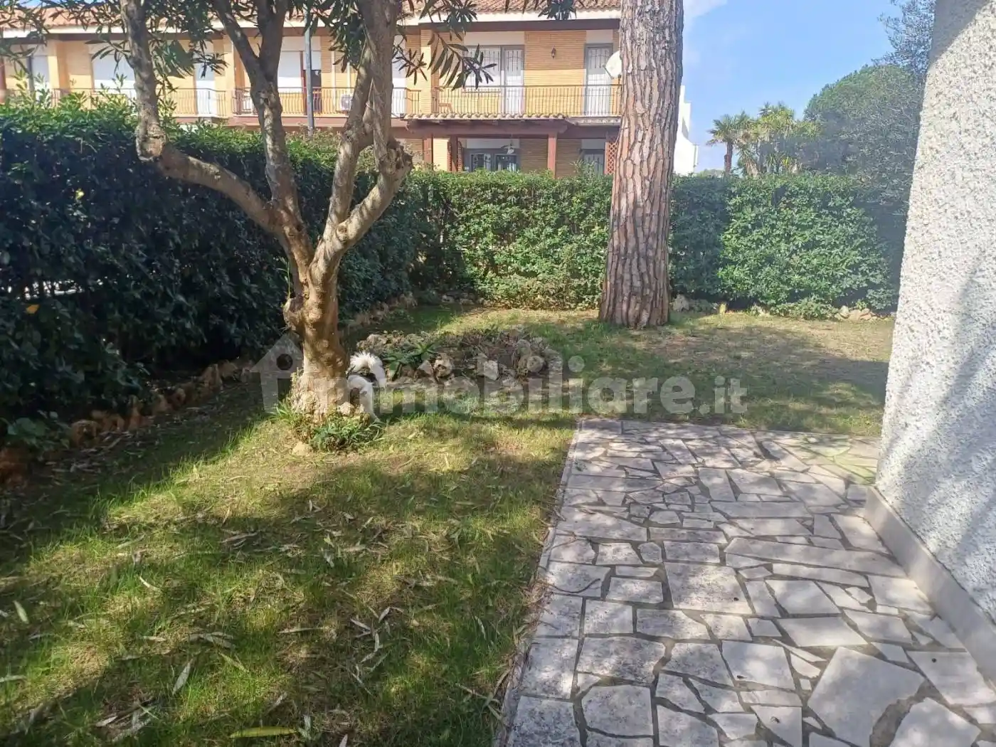 Villa in affitto a San Felice Circeo