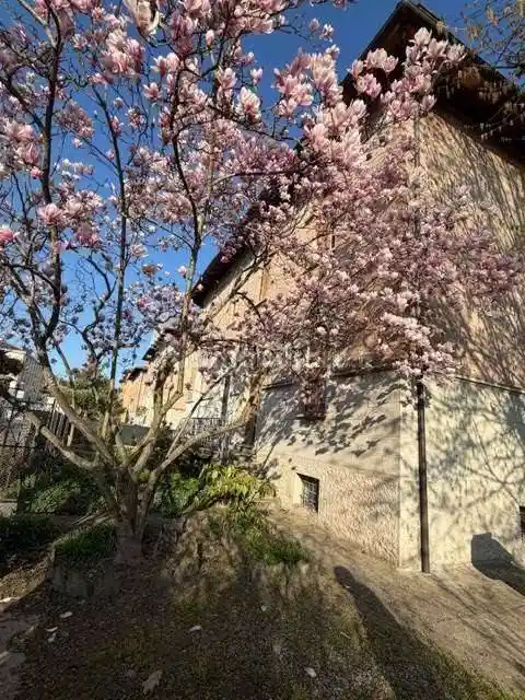 Villa in vendita a Cento