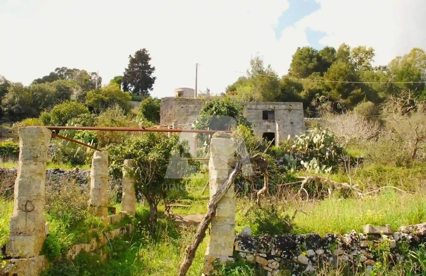 Casa indipendente - foto 3