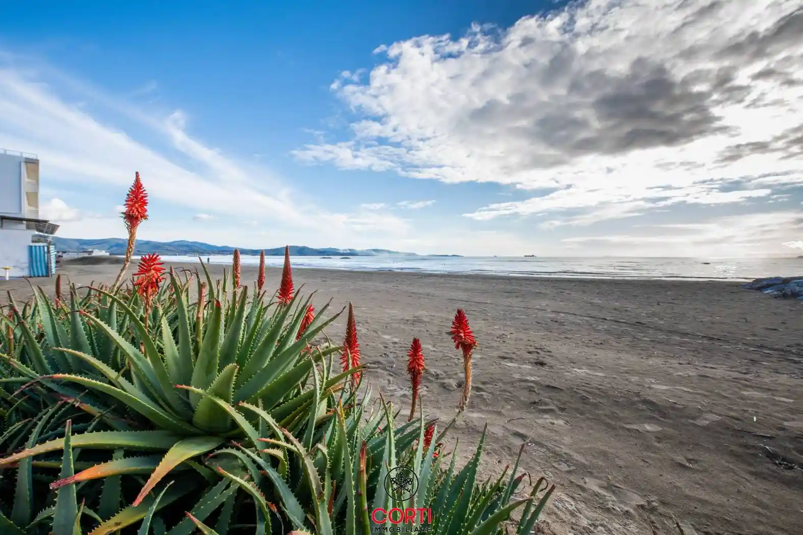 Villa in vendita a Follonica