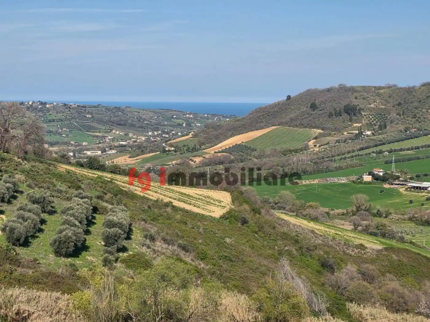 Rustico - Casale in vendita a Ripatransone