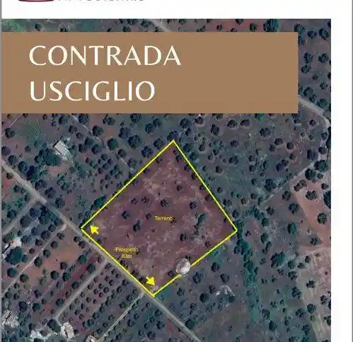 Rustico - Casale in vendita a San Vito dei Normanni