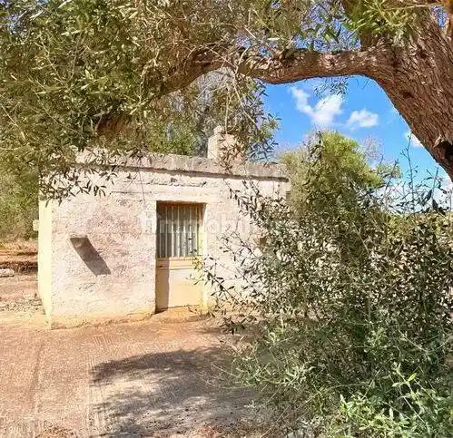 Rustico - Casale in vendita a San Vito dei Normanni