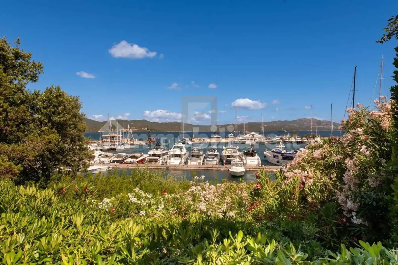 Appartamento in vendita a Olbia