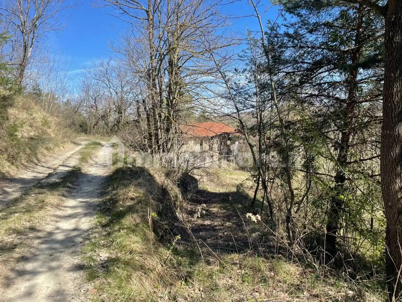 Rustico - Casale in vendita a Bossolasco