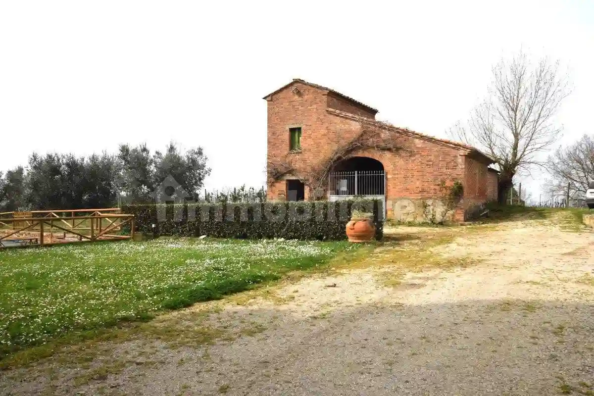 Rustico - Casale - foto 3