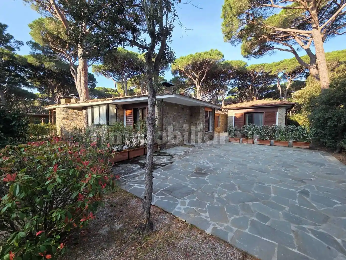 Villa in vendita a Castiglione della Pescaia