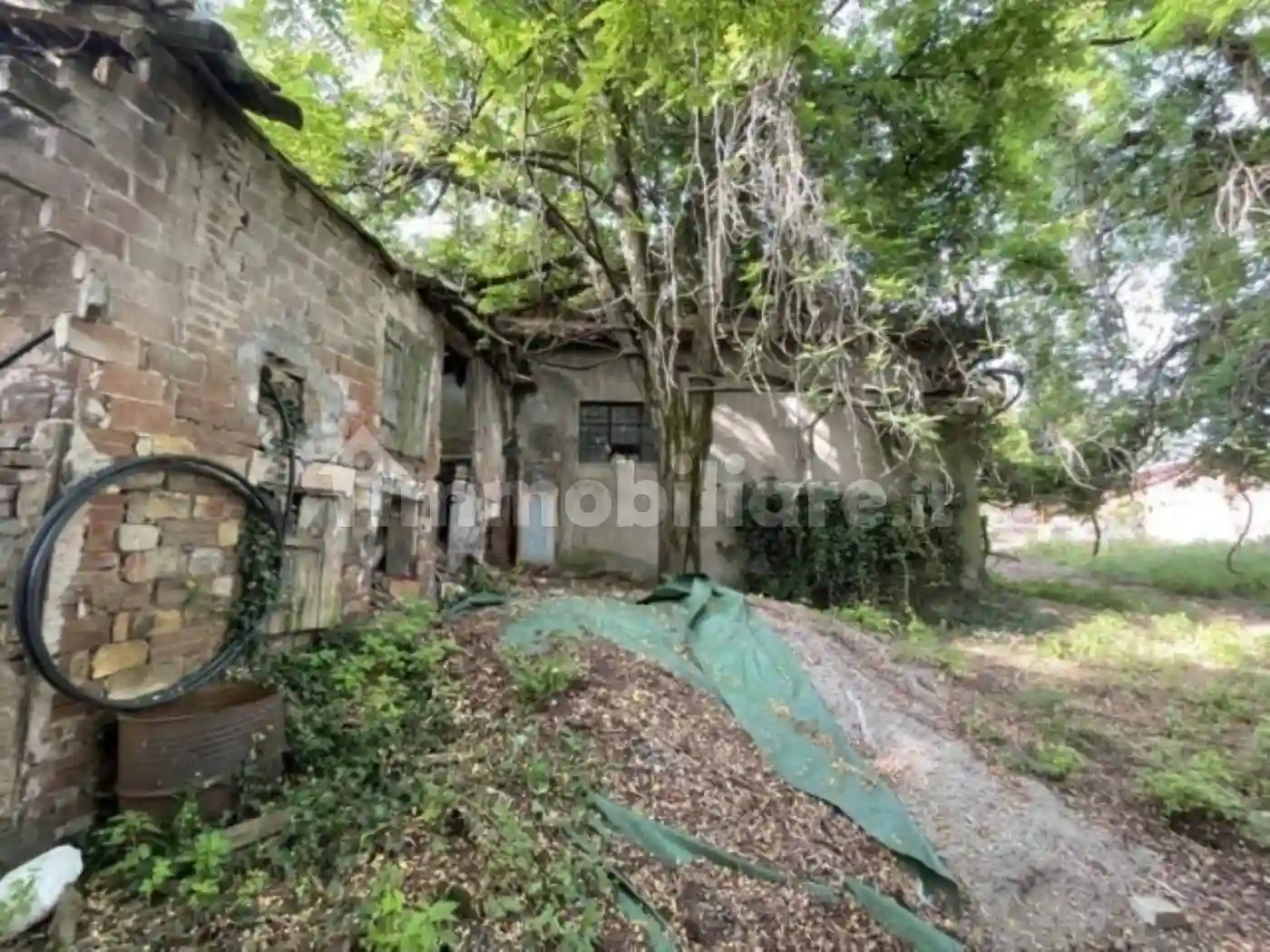 Rustico - Casale - foto 3