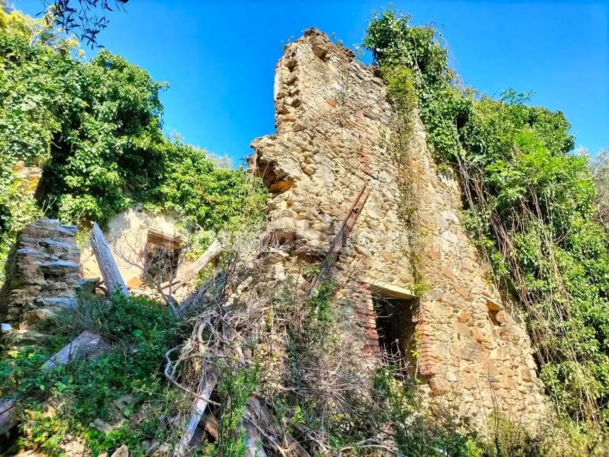 Rustico - Casale in vendita a Camaiore