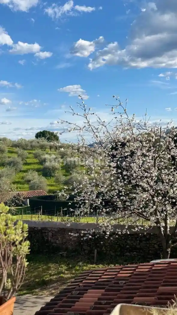 Villa in vendita a Lucca