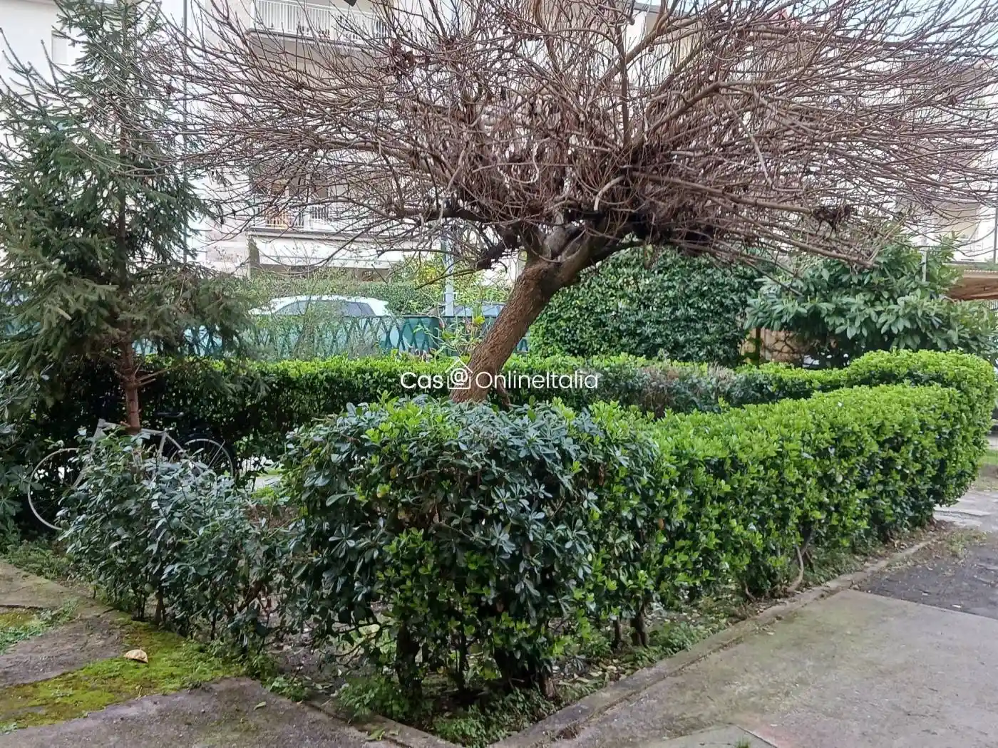 Appartamento in vendita a Viareggio