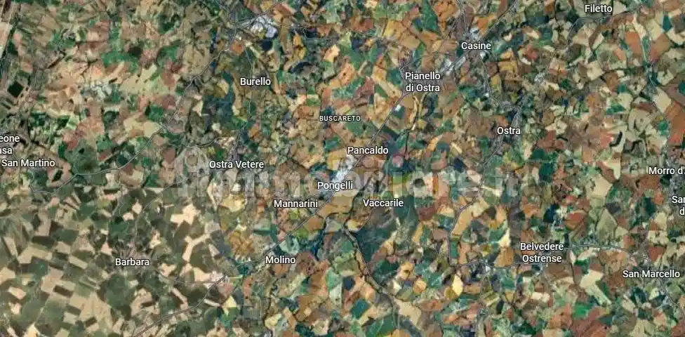 Appartamento in vendita a Ostra Vetere