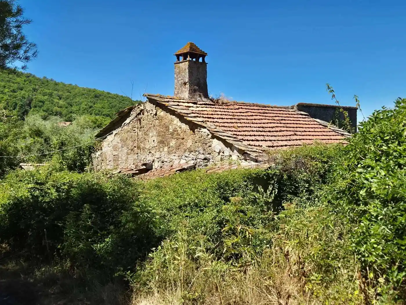 Rustico - Casale in vendita a Cortona