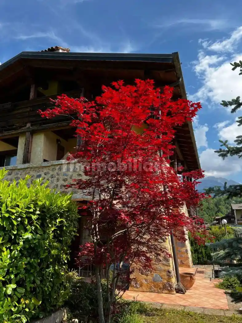 Appartamento in affitto a Onore