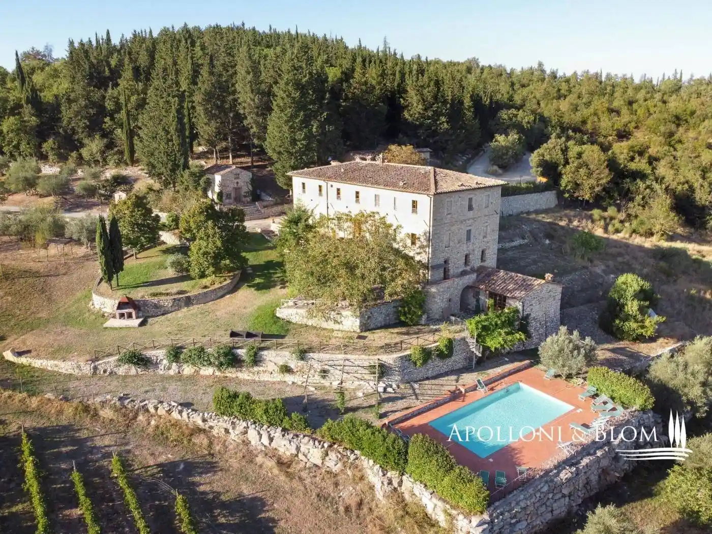 Rustico - Casale in vendita a Castellina in Chianti