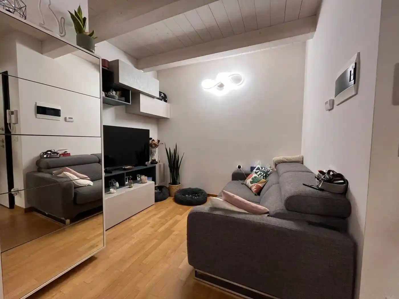 Appartamento in affitto a Bologna