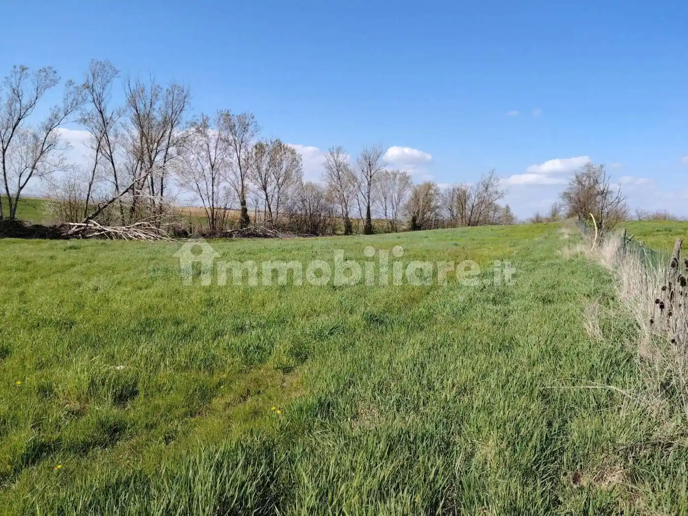 Rustico - Casale in vendita a Valenza