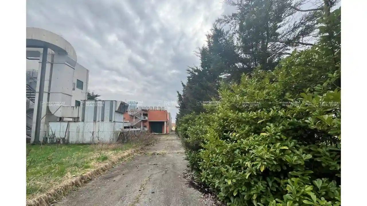 Palazzo - Edificio - foto 4