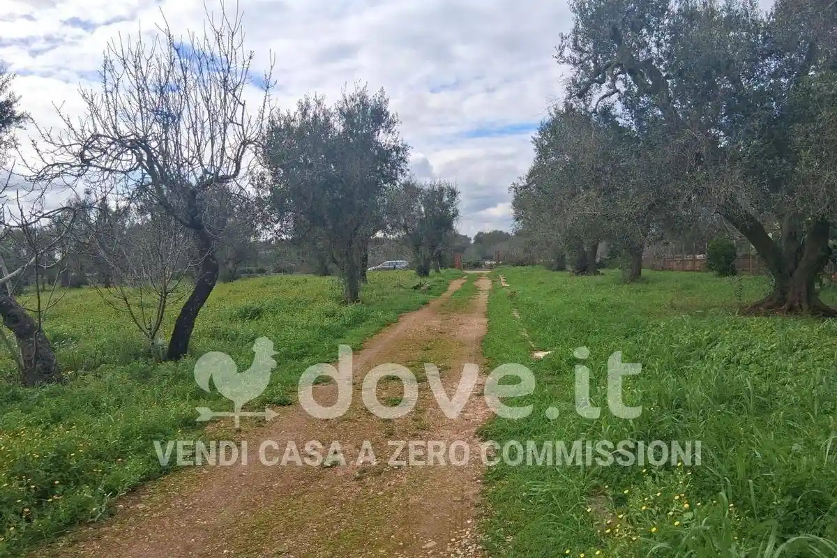 Rustico - Casale in vendita a Francavilla Fontana