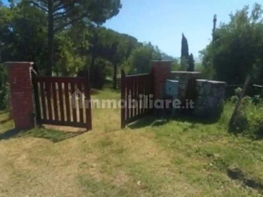 Appartamento in vendita a Scansano