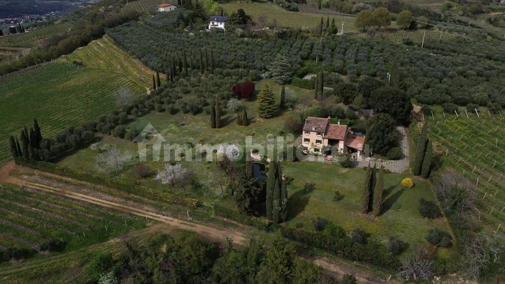 Rustico - Casale in vendita a Illasi