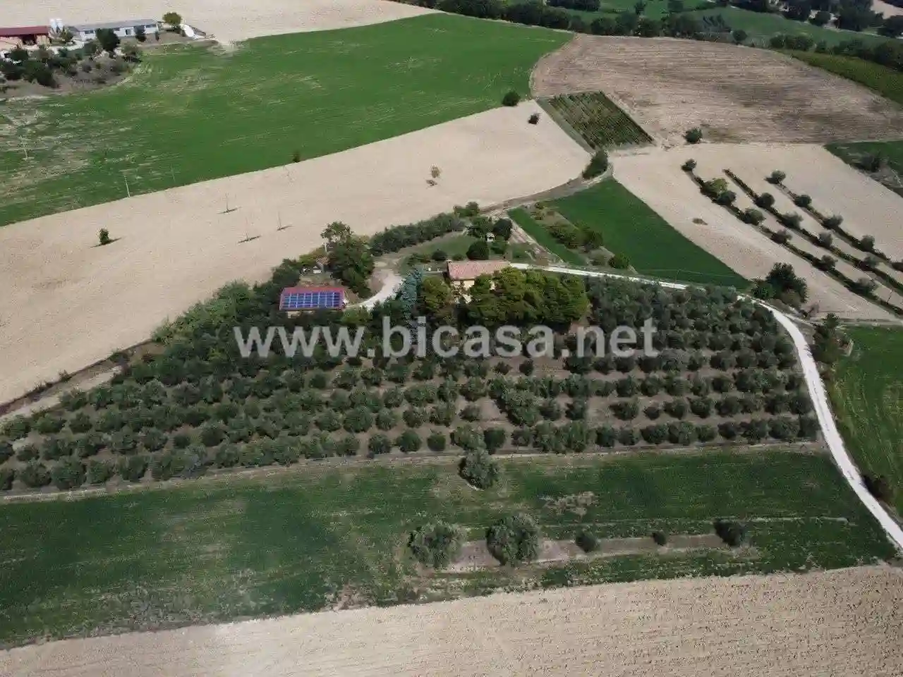 Rustico - Casale - foto 5