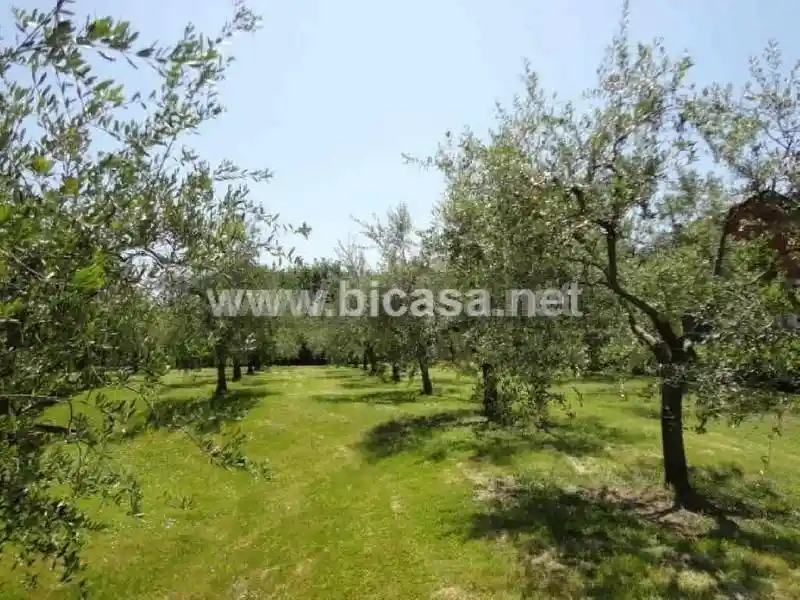 Villa in vendita a Vallefoglia