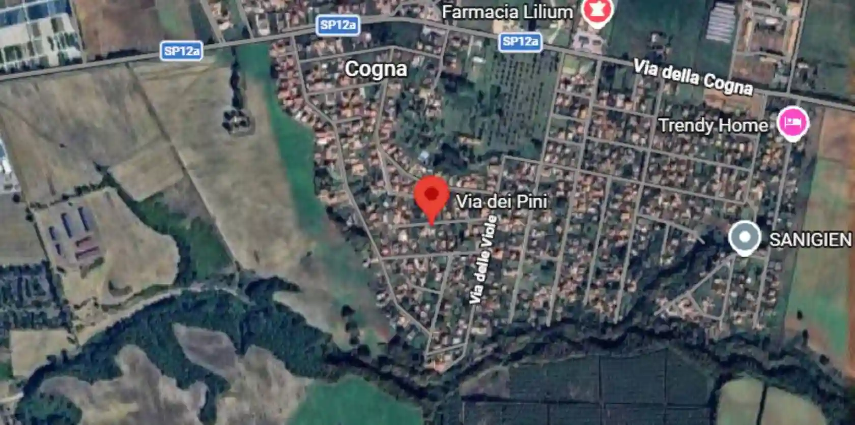 Villa - foto 5