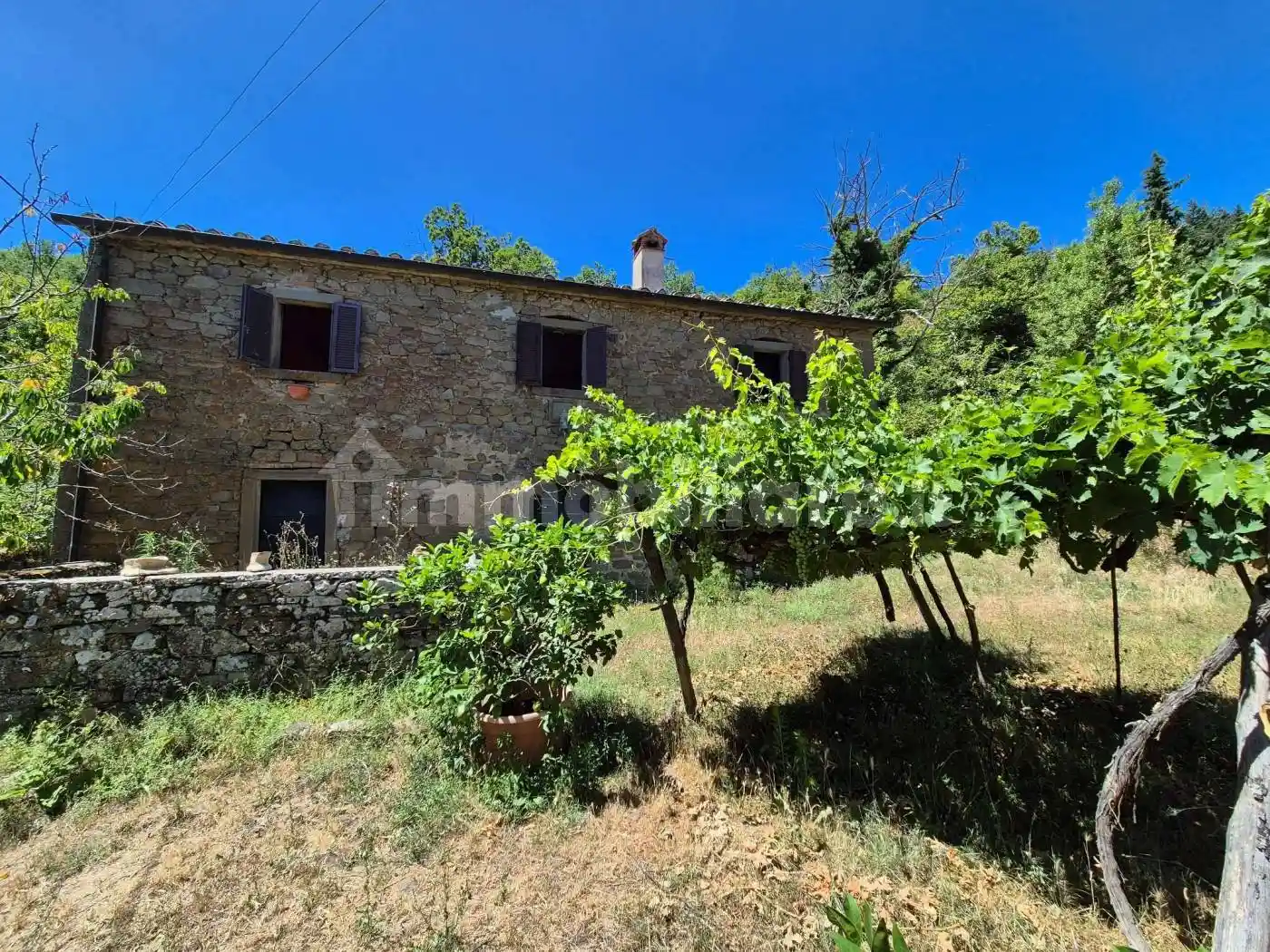 Rustico - Casale in vendita a Cortona