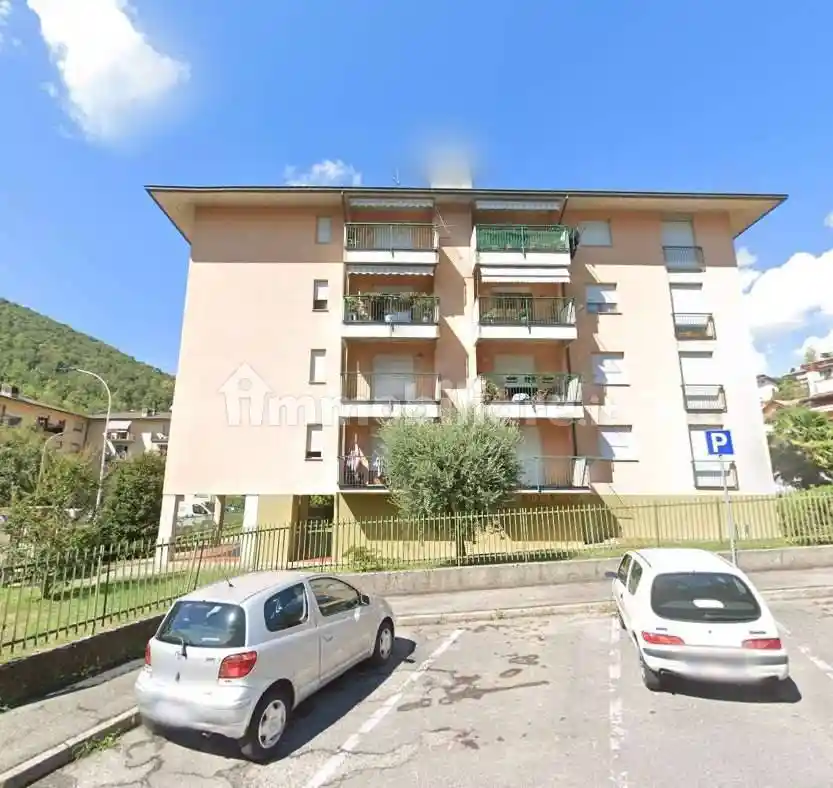 Appartamento in vendita a Alzano Lombardo