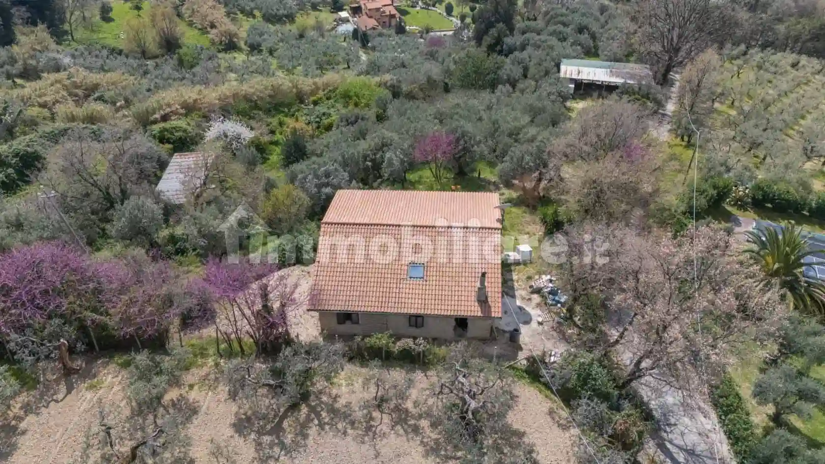Rustico - Casale - foto 5