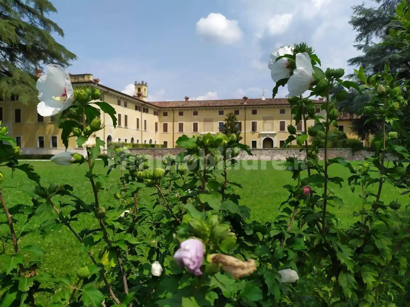 Appartamento in vendita a Sant'Ambrogio di Valpolicella