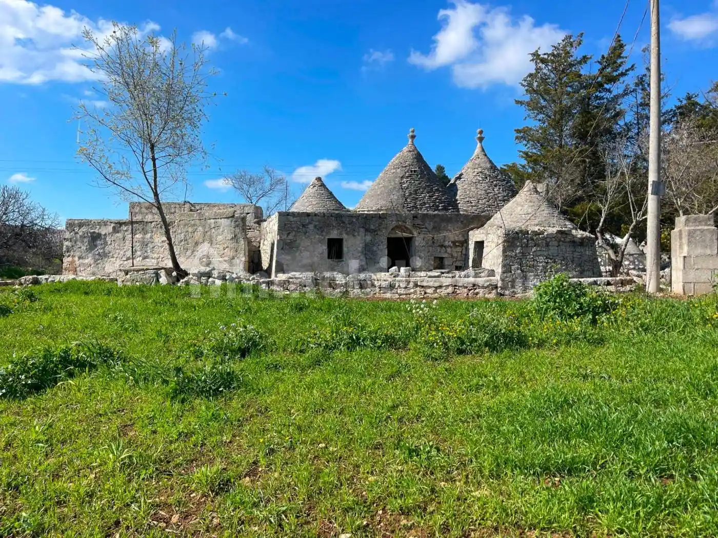 Rustico - Casale in vendita a Martina Franca