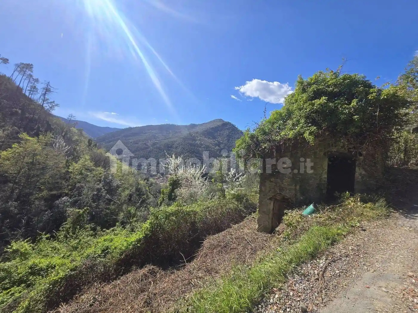 Rustico - Casale in vendita a Badalucco