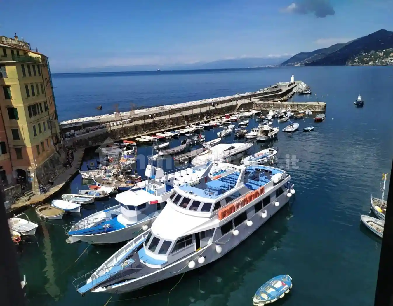 Appartamento in affitto a Camogli