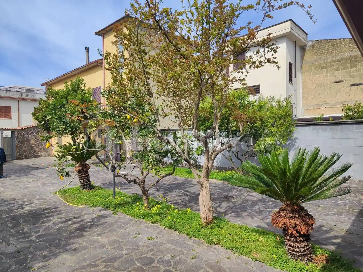 Casa indipendente in vendita a Cellole