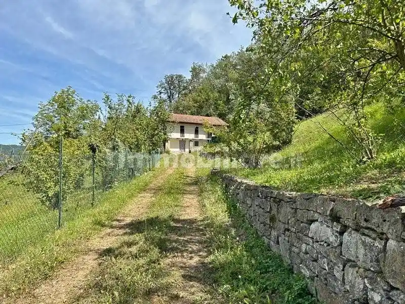 Rustico - Casale in vendita a Levice