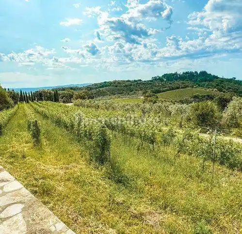 Rustico - Casale in vendita a Campiglia Marittima
