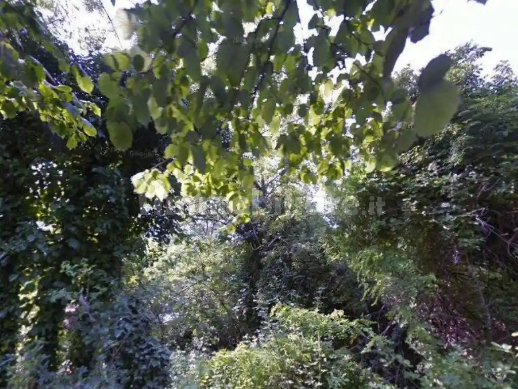 Appartamento in vendita a San Raffaele Cimena